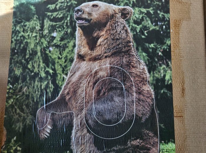 ours 1